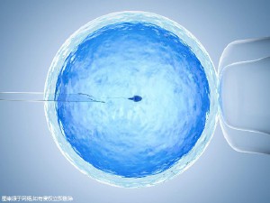 胚胎实验室